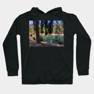 Southern California desert pond oasis Hoodie